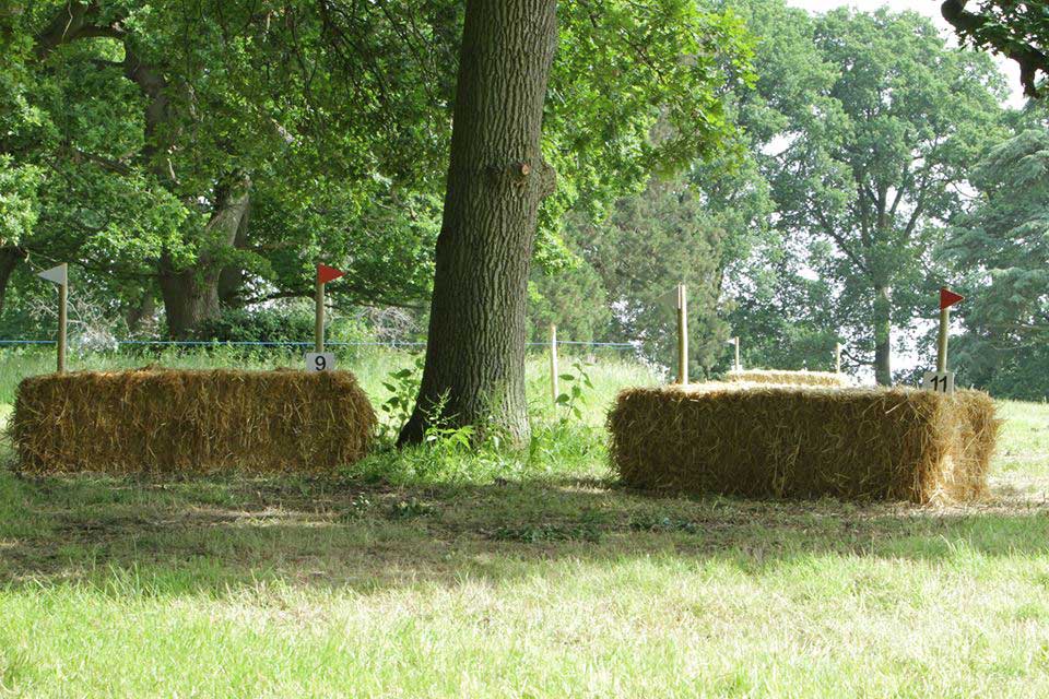 Bale Jumping 2026