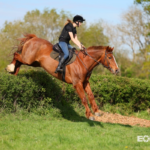 Mandy Hall Summer Boot Camp